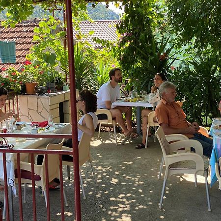 Lotus House Dodosi Konuk evi Dış mekan fotoğraf