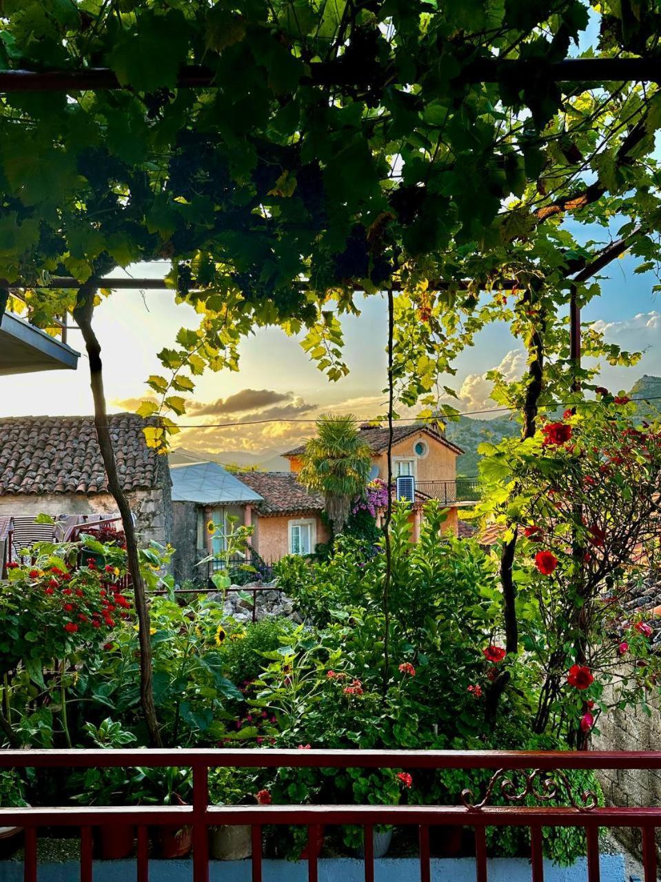 Lotus House Dodosi Konuk evi Dış mekan fotoğraf