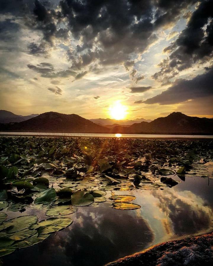 Lotus House Dodosi Konuk evi Dış mekan fotoğraf